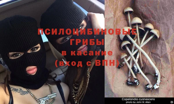 MDMA Армянск