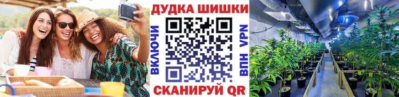 закладки  Краснообск  Шишки марихуана MAZAR 
